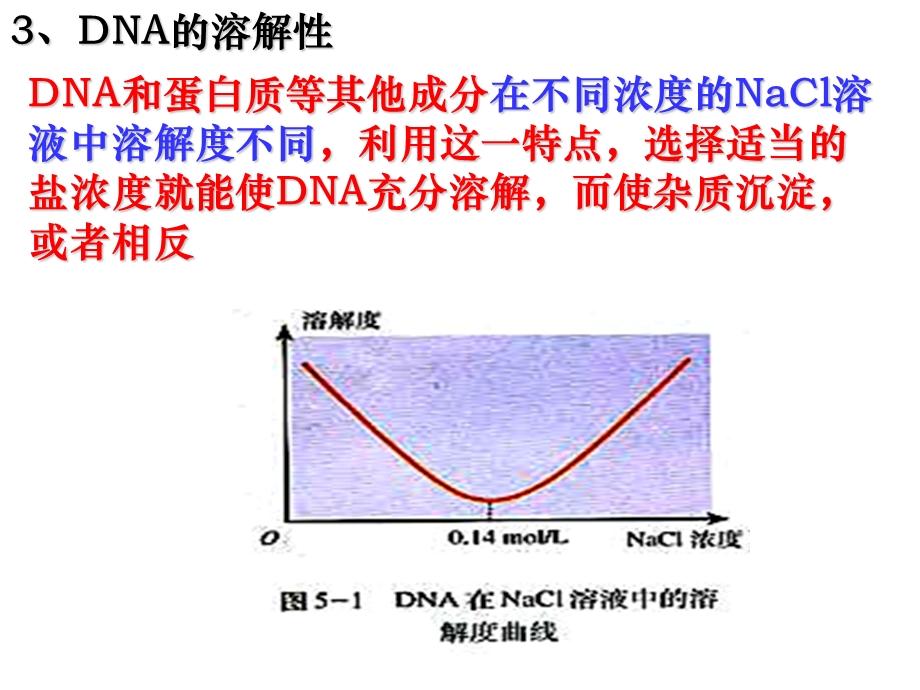 NA的粗提取与鉴定.ppt_第3页