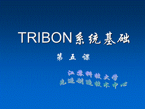 RIBON系统基础N.ppt