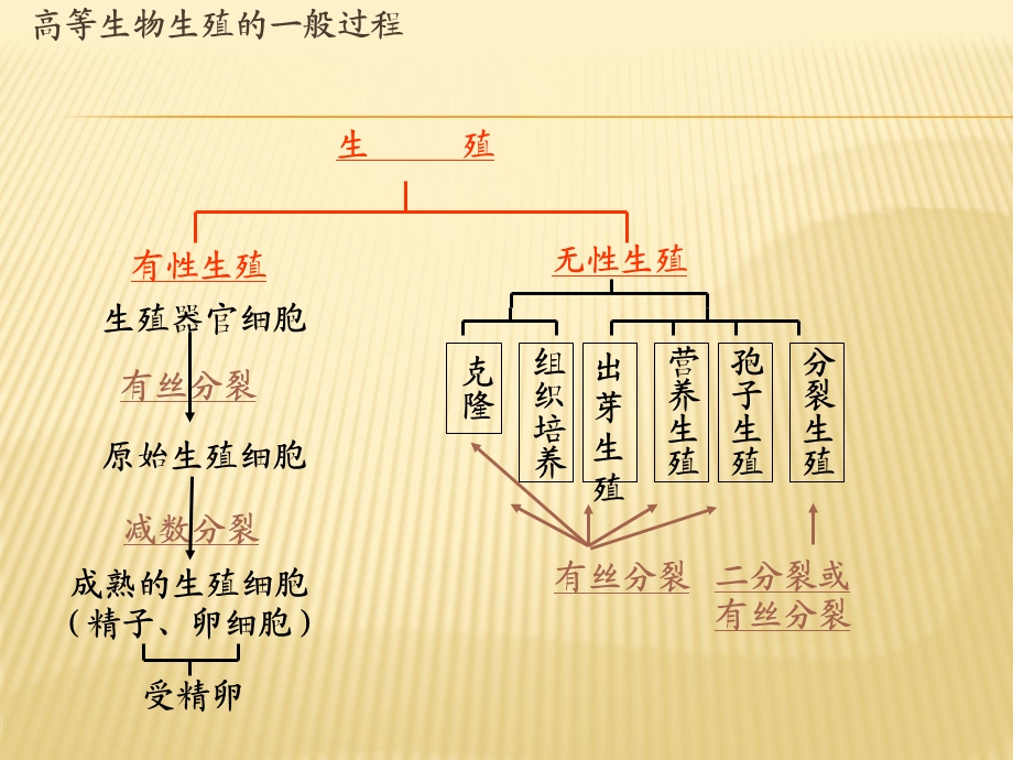 DNA是主要的遗传物质(教学课件).ppt_第1页