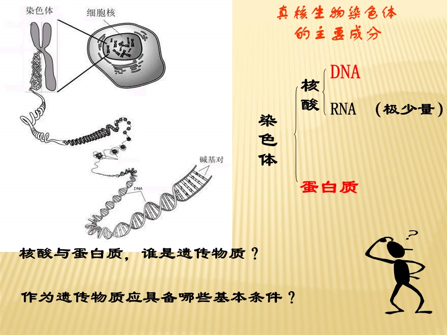 DNA是主要的遗传物质(教学课件).ppt_第3页