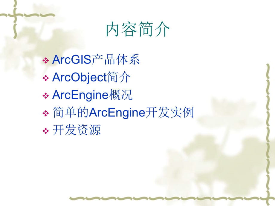 ArcEngine二次开发入门介绍.ppt_第2页