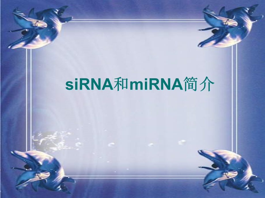 siRNA和miRNA简介.ppt_第1页