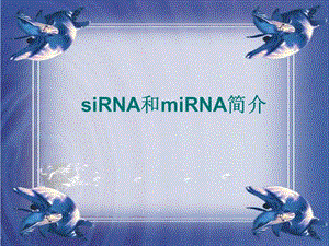 siRNA和miRNA简介.ppt