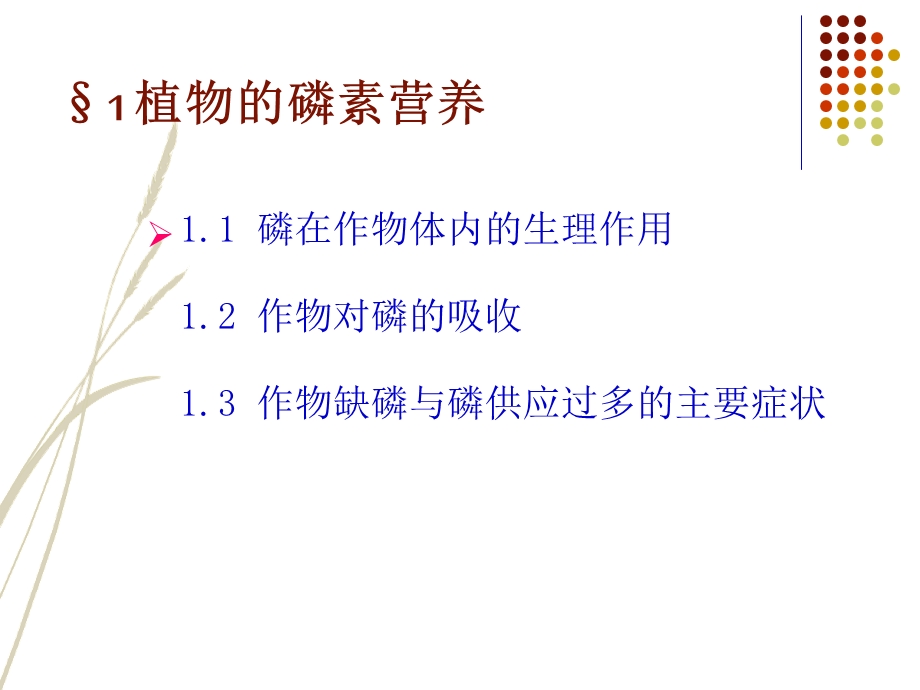 网中漫步纠第磷肥.ppt_第2页