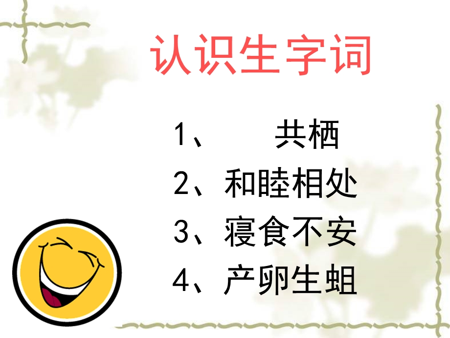 有取的动物共栖现象.ppt_第2页