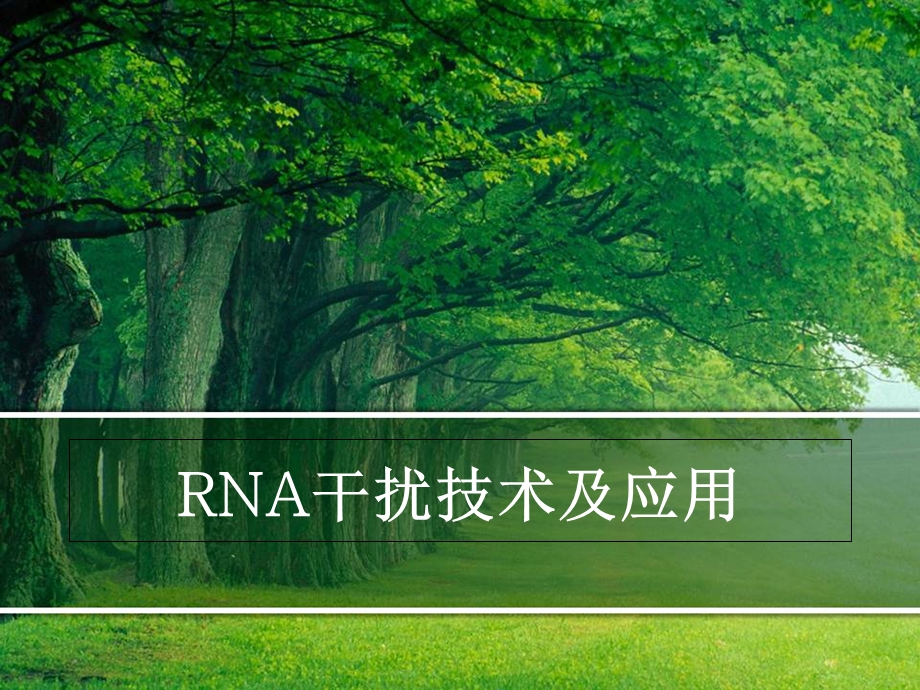 RNA干扰技术及应用.ppt_第1页