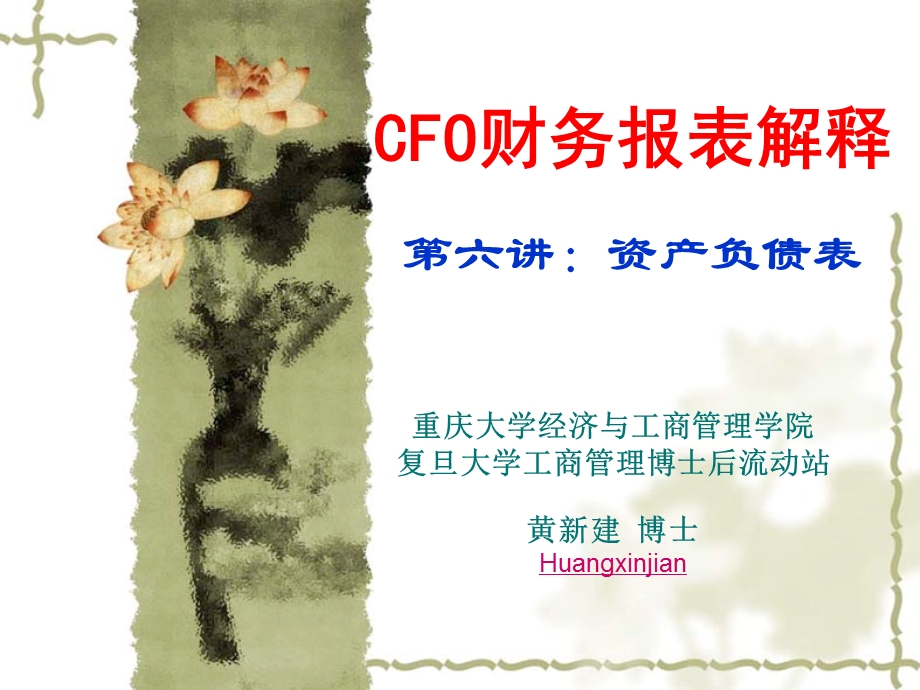 CFO财务报表解释.ppt_第1页