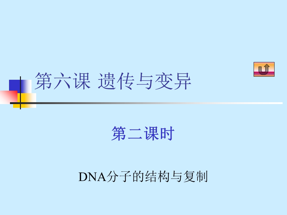 DNA分子的结构与复制.ppt_第1页