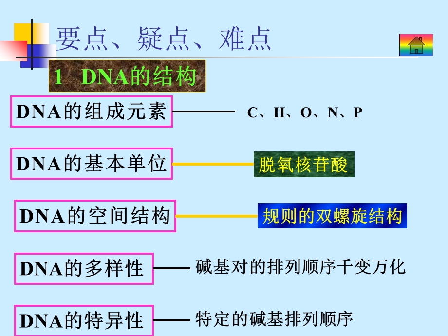 DNA分子的结构与复制.ppt_第2页