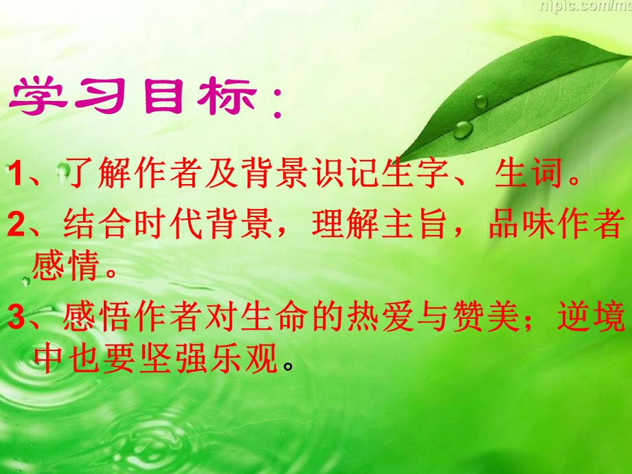 罗莎卢森堡.ppt_第2页