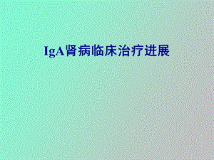 iga肾病临床治疗新进展.ppt