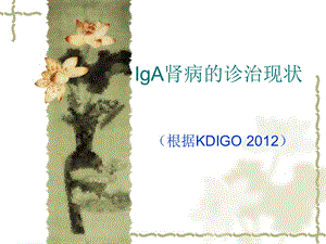 IgA肾病诊治现状.ppt