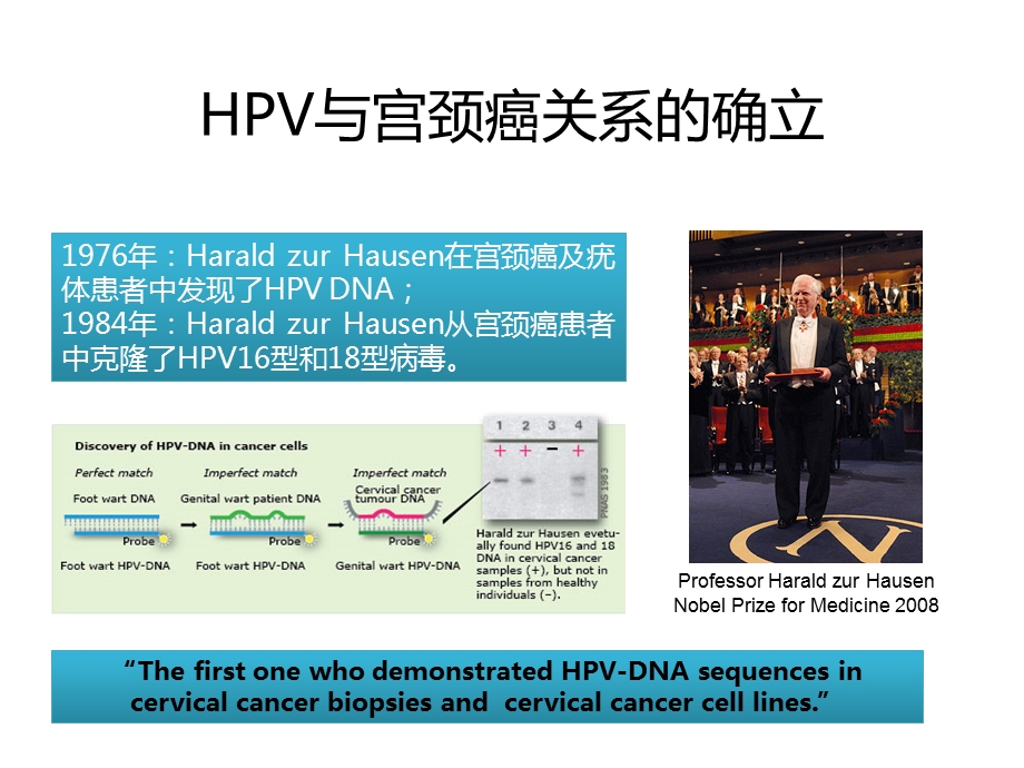 HPV检测技术及临床应用.ppt_第3页