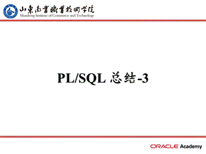 LSQL总结3异常处理及嵌套块.ppt