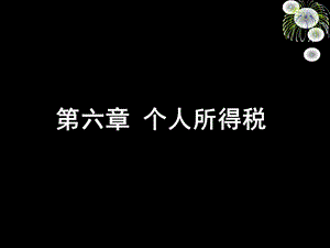 第六章个人所得税.ppt