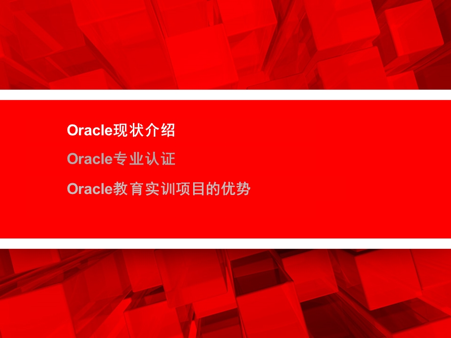 Oracle公司背景介绍.ppt_第2页