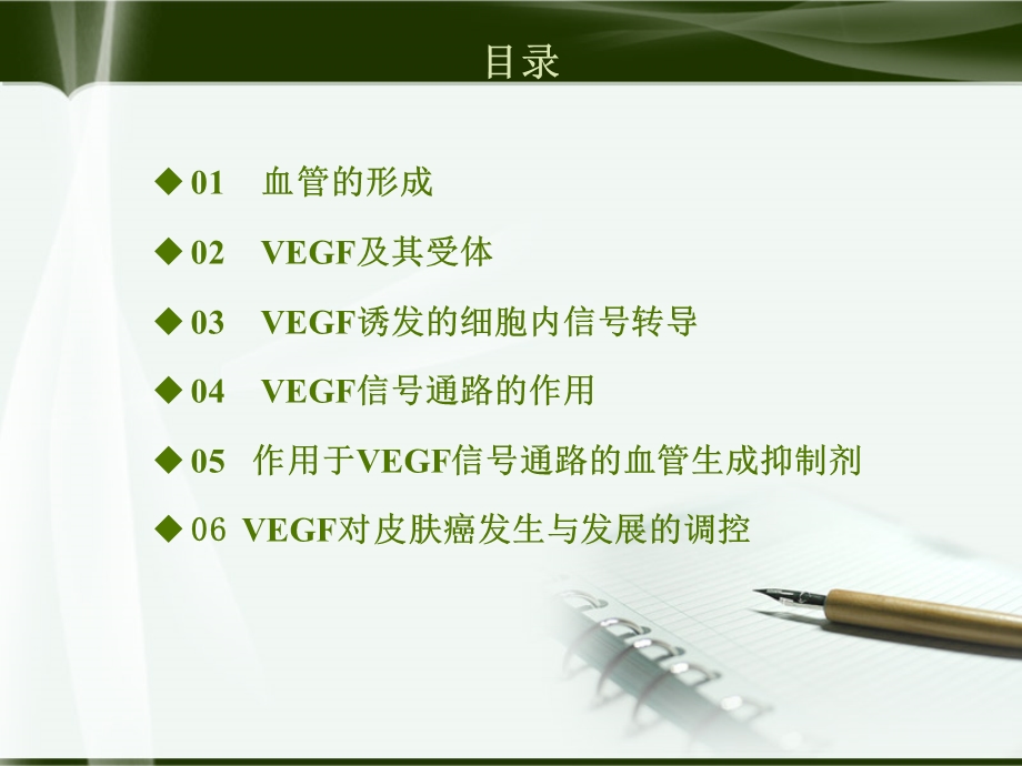 VEGF(血管内皮生长因子).ppt_第2页