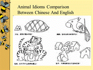 AnimalIdioms动物习语.ppt