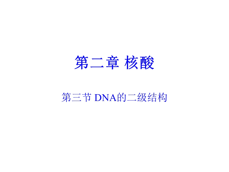 DNA的二级结构.ppt_第1页