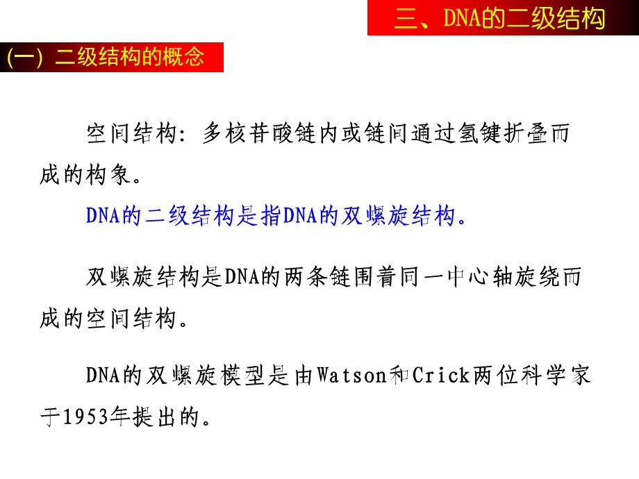 DNA的二级结构.ppt_第2页