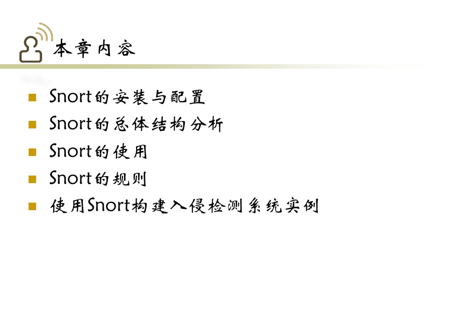 Snort的配置与使.ppt_第2页