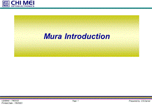 LCD的mura介绍及资料.ppt