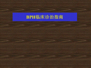 BPH的诊疗指南.ppt