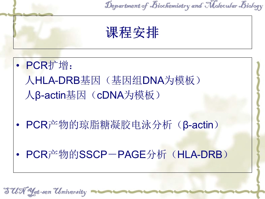 CR及SSCPPAGE技术.ppt_第2页