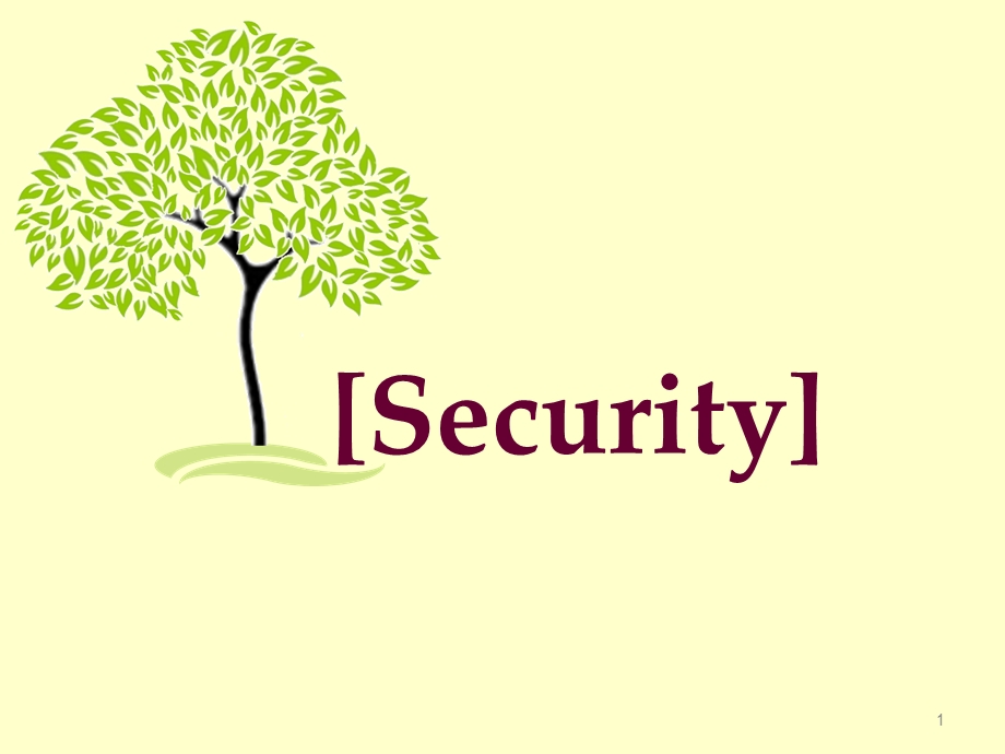 security-and-safety英语演讲PPT.ppt_第1页