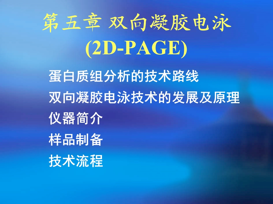 五章双向凝胶电泳2DPAGE.ppt_第1页