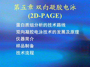 五章双向凝胶电泳2DPAGE.ppt