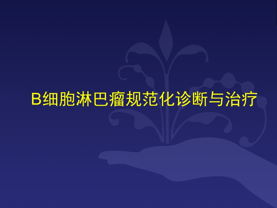 B细胞淋巴瘤诊疗规范.ppt_第1页