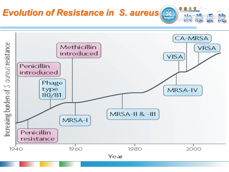 MRSA感染治疗策略.ppt_第3页