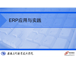 ERP系统实施准备.ppt