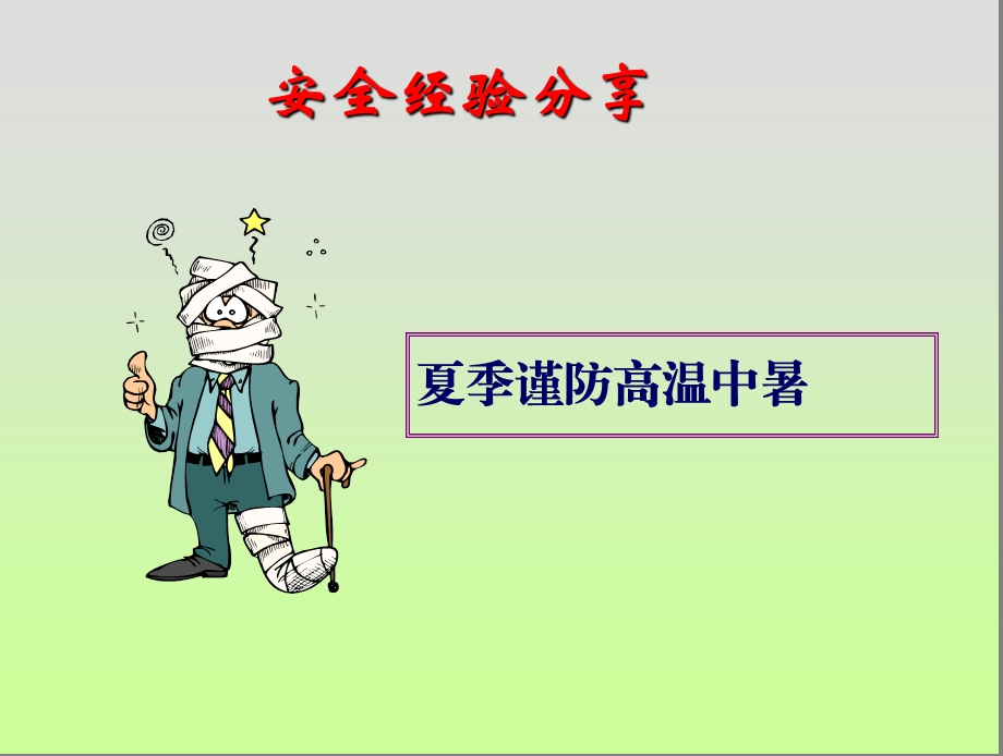 HSE管理体系建设模式.ppt_第2页