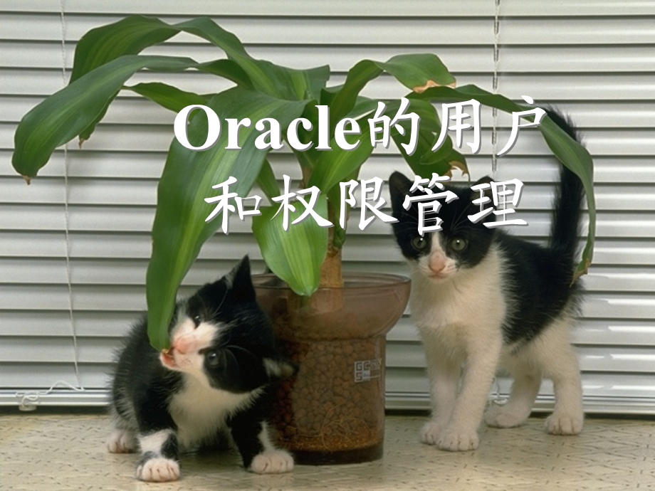 Oracle数据库的用户和权限管理.ppt_第1页