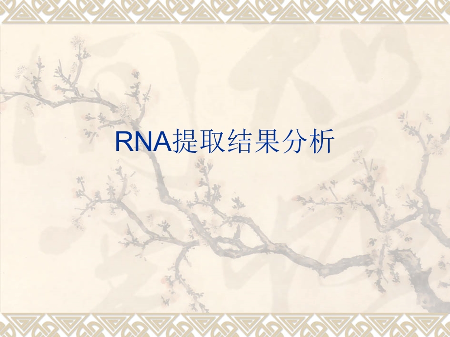 RNA提取结果分析.ppt_第1页