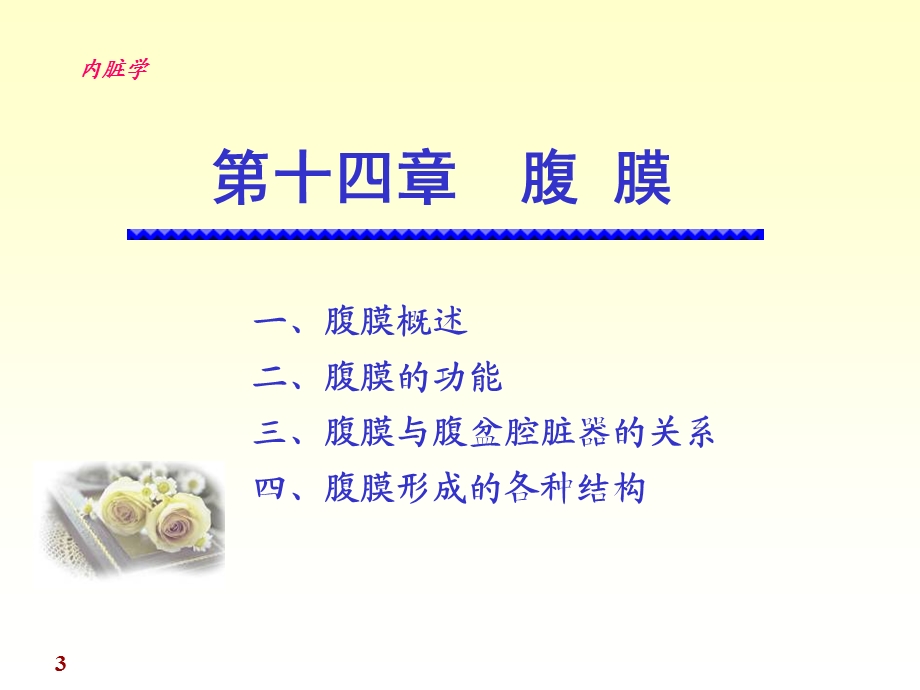 14腹膜内分泌.ppt_第3页