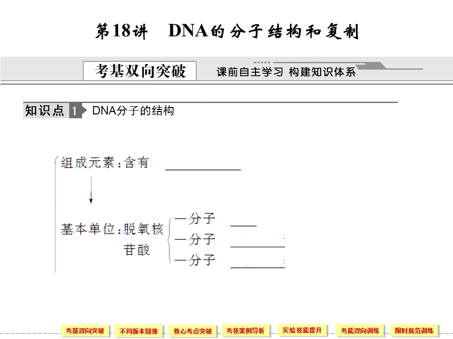 DNA的分子结构和复制中.ppt_第1页