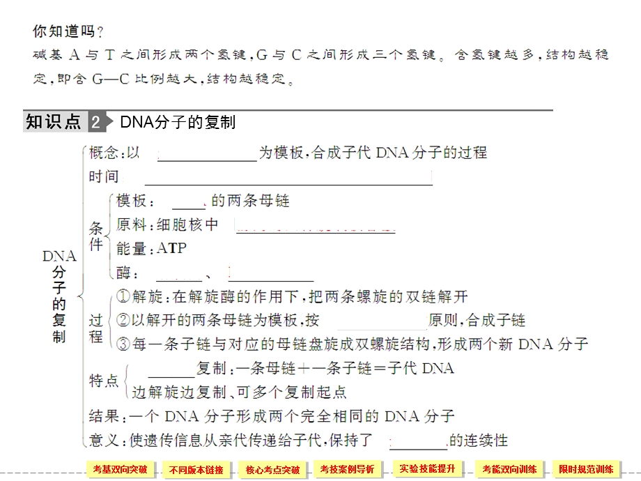 DNA的分子结构和复制中.ppt_第3页