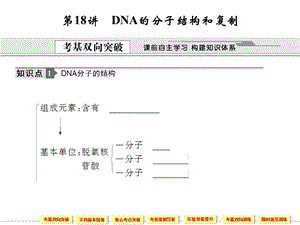 DNA的分子结构和复制中.ppt