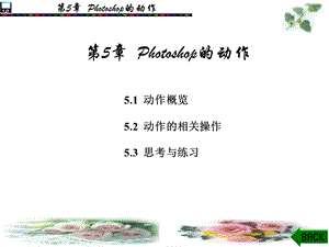 hotoshop的动作.ppt