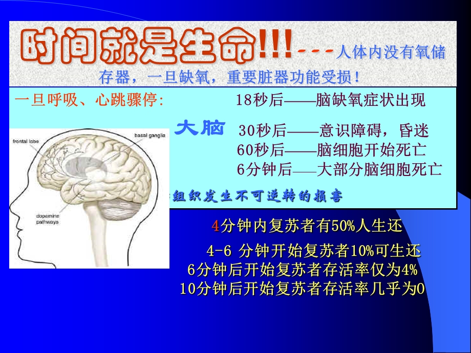 2015最新心肺复苏术教学培训.ppt_第3页