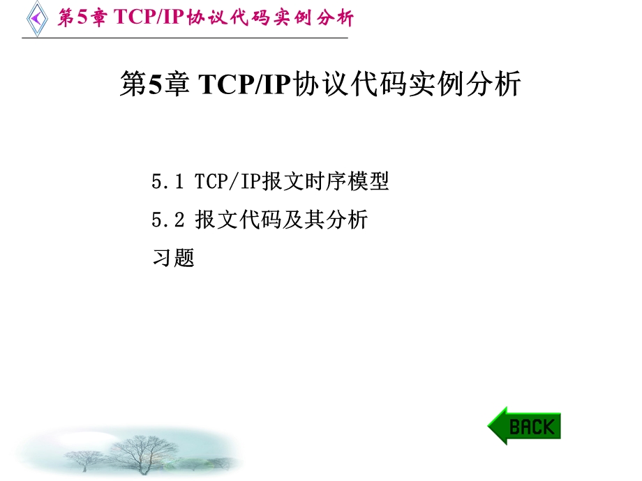 TCP协议代码实例分析.ppt_第1页