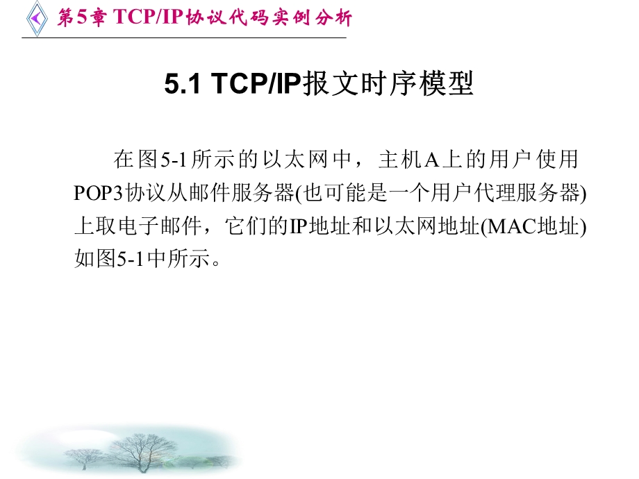 TCP协议代码实例分析.ppt_第2页