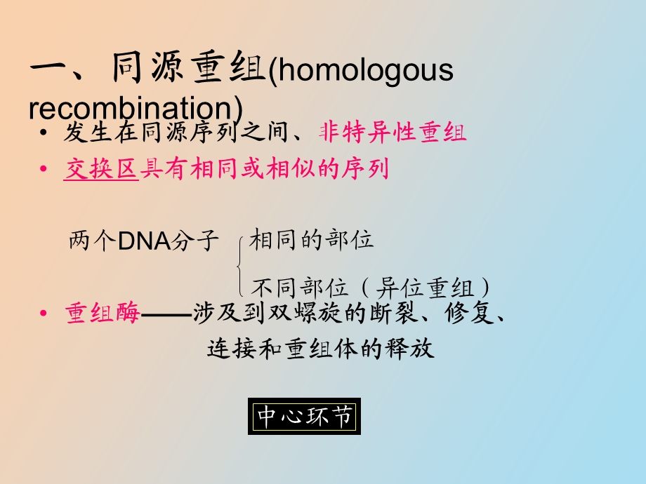 DNA的复制、修复和重组.ppt_第2页