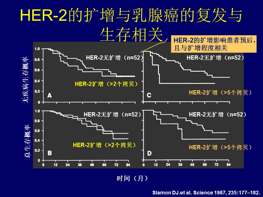 HER2阳性复发转移乳腺癌诊疗策略.ppt_第3页