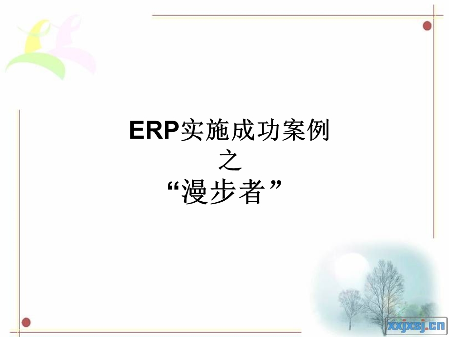 ERP实施成功案例.ppt_第1页