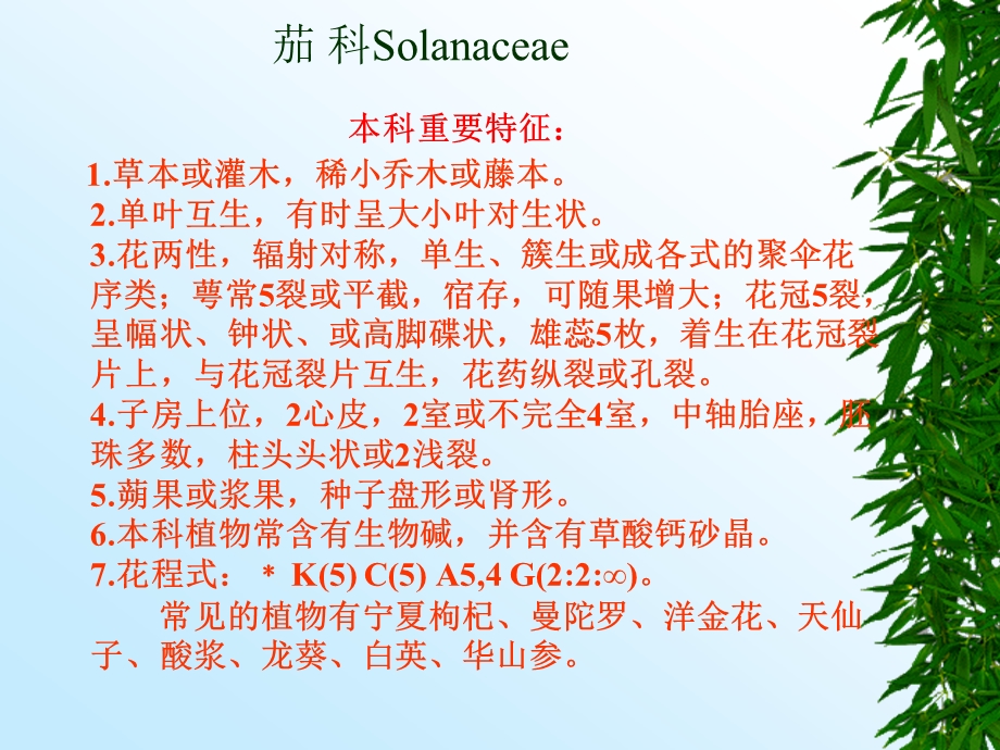 茄科Solanaceae.ppt_第1页