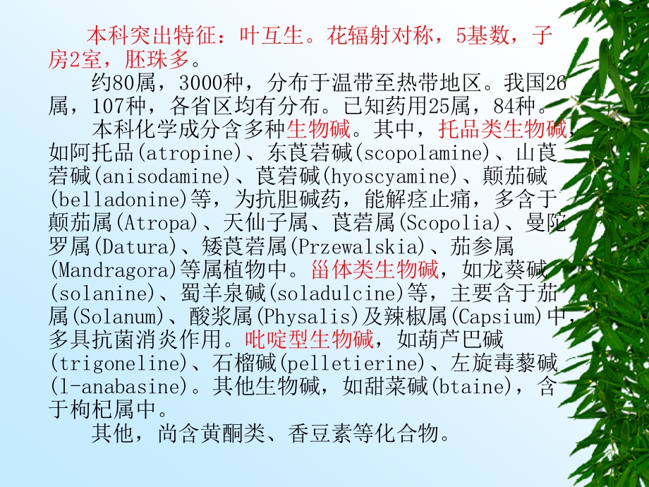 茄科Solanaceae.ppt_第2页